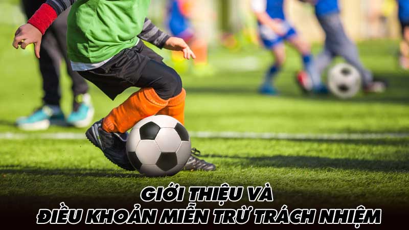 Giới thiệu và điều khoản miễn trừ trách nhiệm